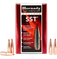 HORNADY 6MM 95GR SST