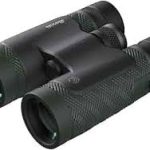BURRIS HD DROPTINE 10X42MM BINOCULARS