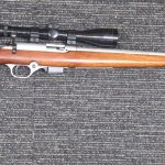 MOSSBERG M817 17 HMR