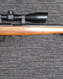 SPORTCO 22 HORNET WITH SCOPE